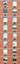 Free Building Facade Texture 42